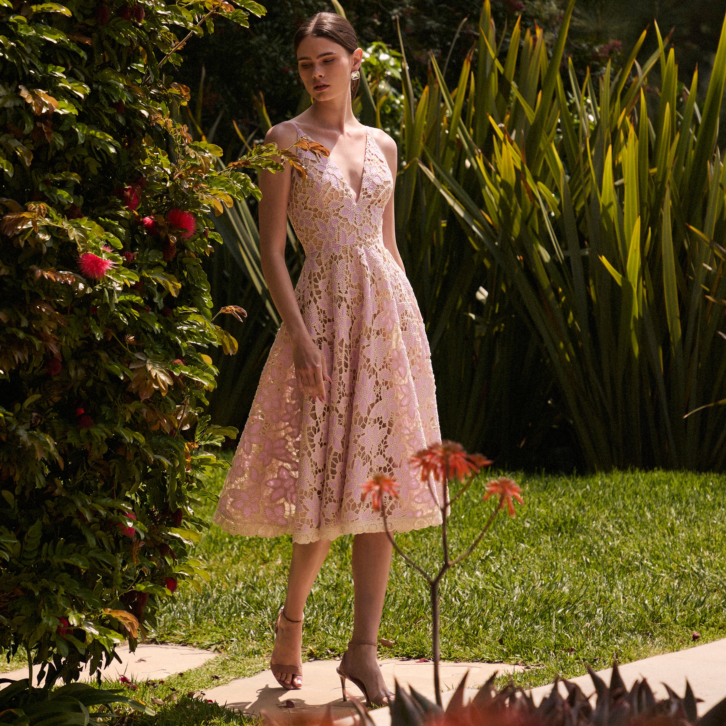 AMELIA - Image 3