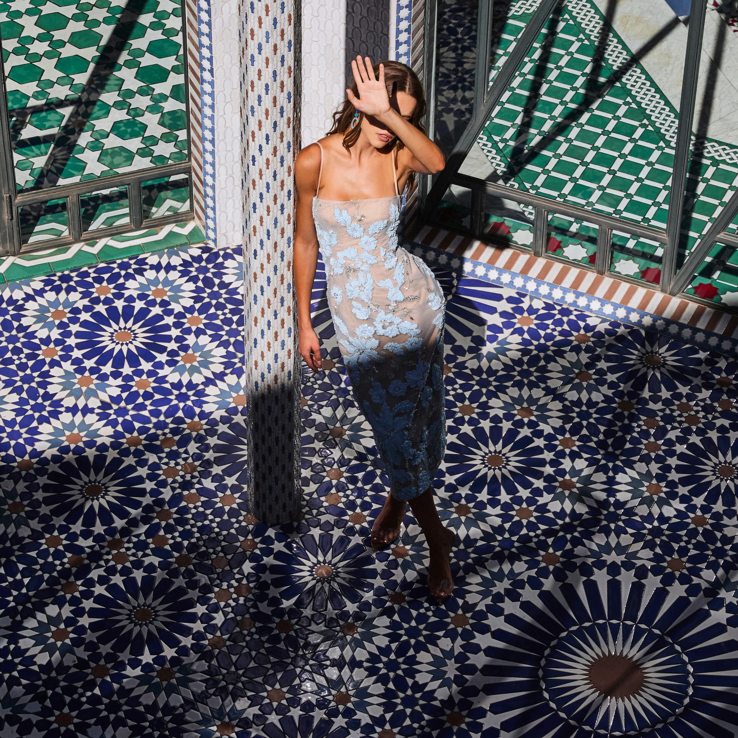 GEMMA - Image 2