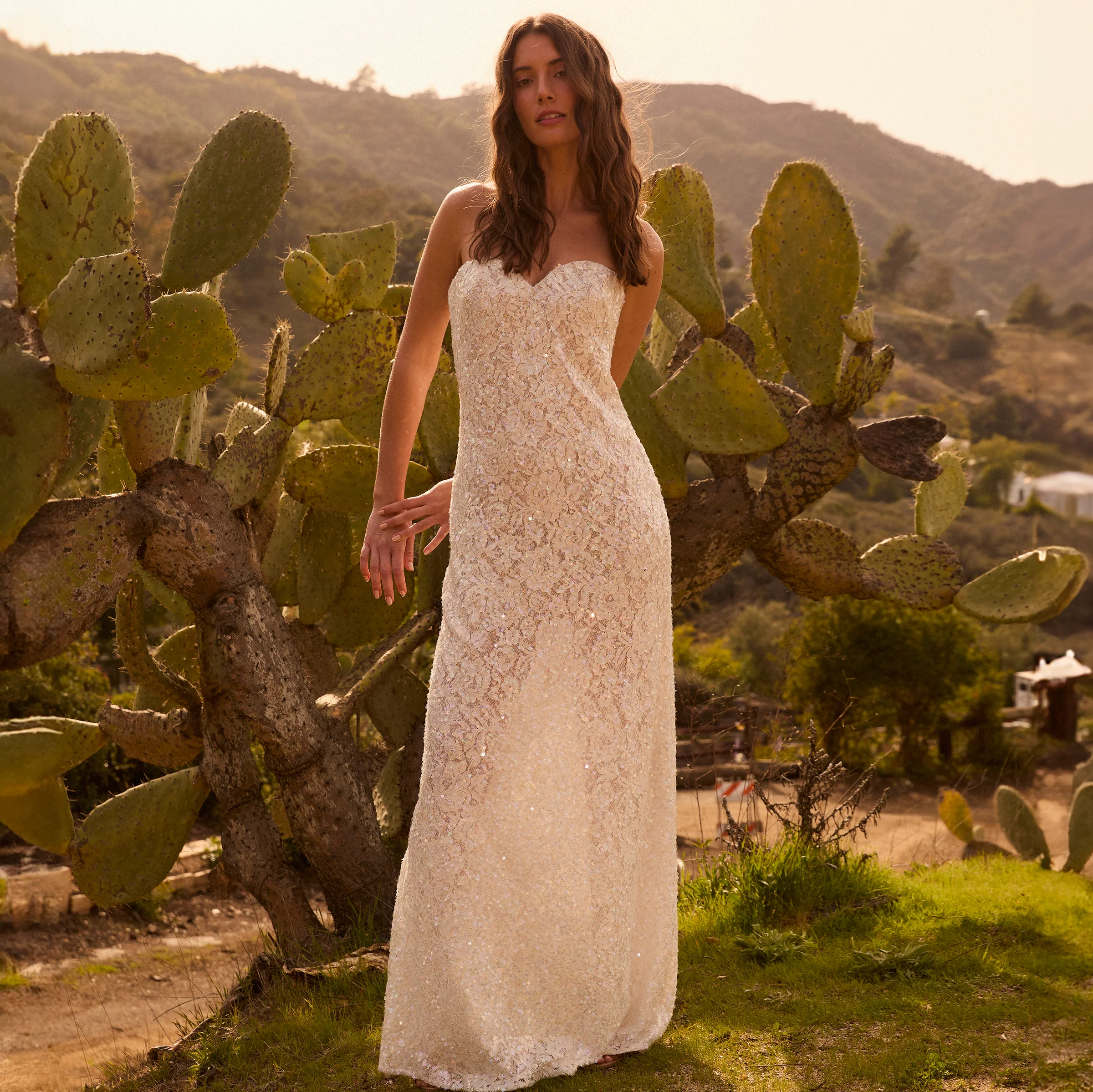 LINDSEY - Image 2